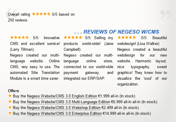 Rich Snippets in der Website Negeso